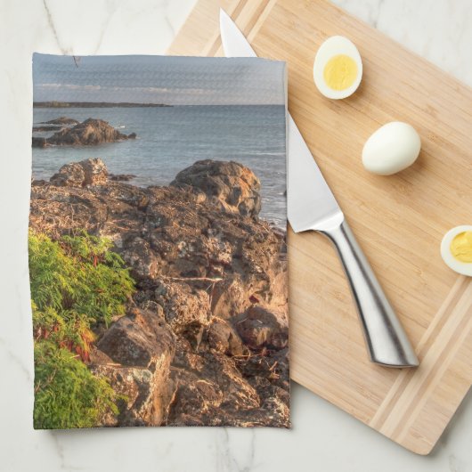 Maui shoreline theedoek (Quarter Fold)