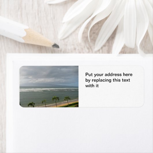 Maui strand etiket (Insitu)