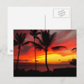 MAUI SUNSET 2 BRIEFKAART (Voorkant / Achterkant)
