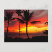 MAUI SUNSET 2 BRIEFKAART (Voorkant)