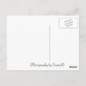 Maui Sunset briefkaart (Achterkant)