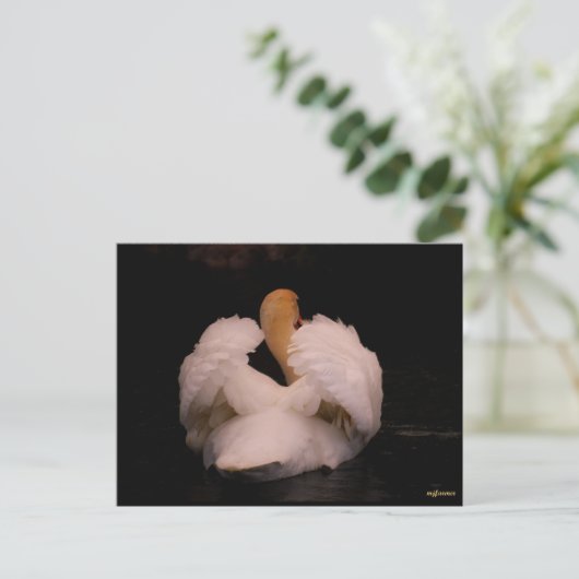 Maui Swan Briefkaart (Staand voorkant)