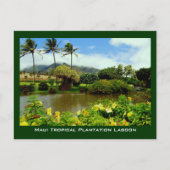 Maui Tropical Plantation Gardens Lagoon Briefkaart (Voorkant)