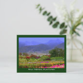 Maui Tropical Plantation West Maui Mountains Briefkaart (Staand voorkant)