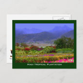 Maui Tropical Plantation West Maui Mountains Briefkaart (Voorkant / Achterkant)