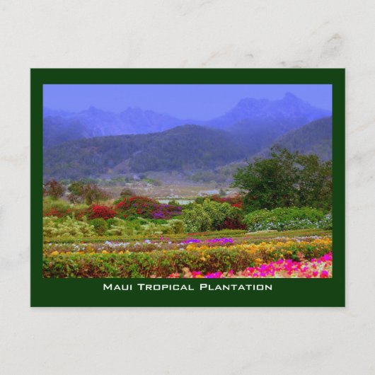 Maui Tropical Plantation West Maui Mountains Briefkaart (Voorkant)
