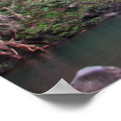 Maui Waterfall Poster (Hoek)