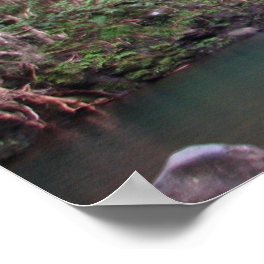 Maui Waterfall Poster (Hoek)