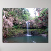 Maui Waterfall Poster (Voorkant)