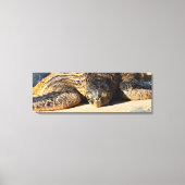 Maui Zee Schildpad Canvas Print (Voorkant)