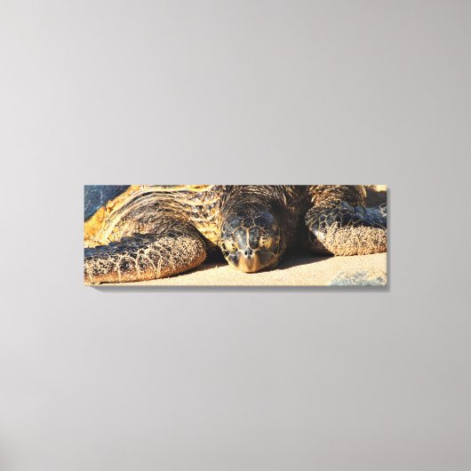 Maui Zee Schildpad Canvas Print (Voorkant)