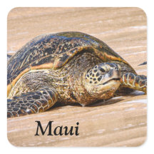 Maui Zee Schildpad op een strand sticker