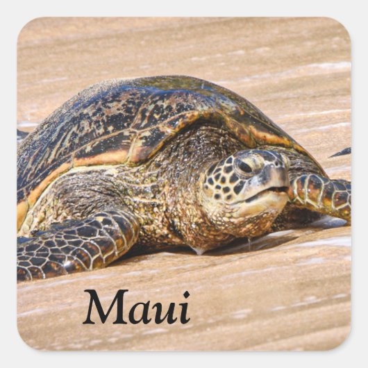 Maui Zee Schildpad op een strand sticker (Voorkant)