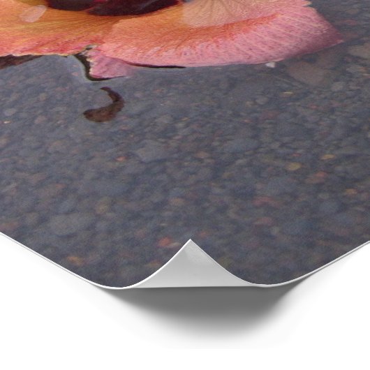 Maui Zen Poster (Hoek)