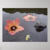 Maui Zen Poster (Voorkant)