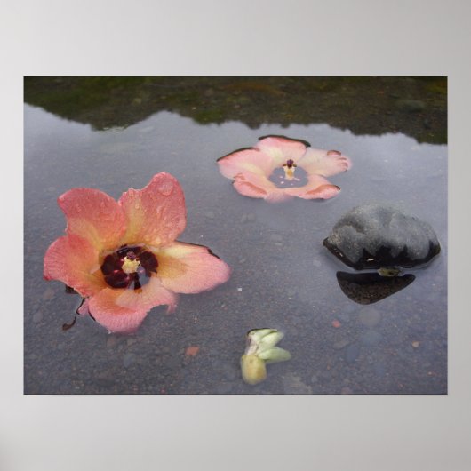 Maui Zen Poster (Voorkant)