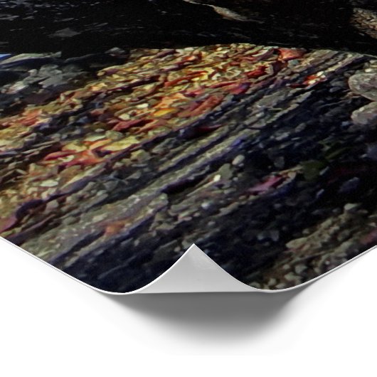 MAUNA KEA OVER HILO BAY POSTER (Hoek)