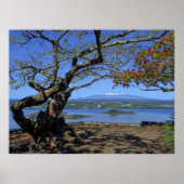 MAUNA KEA OVER HILO BAY POSTER (Voorkant)
