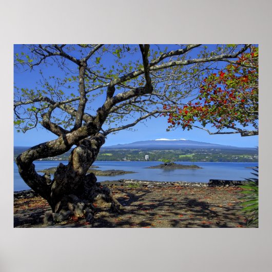 MAUNA KEA OVER HILO BAY POSTER (Voorkant)