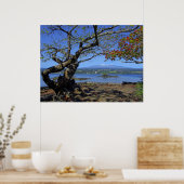 MAUNA KEA OVER HILO BAY POSTER (Keuken)