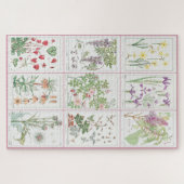 Maurice Pillard Verneuil Botanische Illustraties 1 Legpuzzel (Horizontaal)