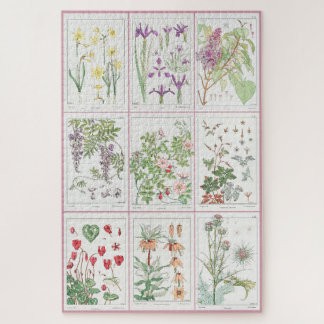 Maurice Pillard Verneuil Botanische Illustraties 1 Legpuzzel
