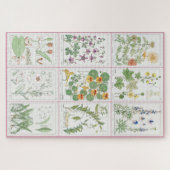 Maurice Pillard Verneuil Botanische Illustraties 2 Legpuzzel (Horizontaal)