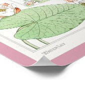 Maurice Pillard Verneuil Botanische Illustraties 2 Poster (Hoek)