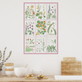 Maurice Pillard Verneuil Botanische Illustraties 2 Poster (Keuken)