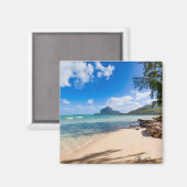 Mauritiaanse magneet (Voorkant / Achterkant)