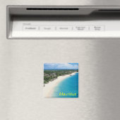 Mauritiaanse magneet (Insitu (Vaatwasser))