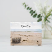 Mauritius briefkaart (Staand voorkant)