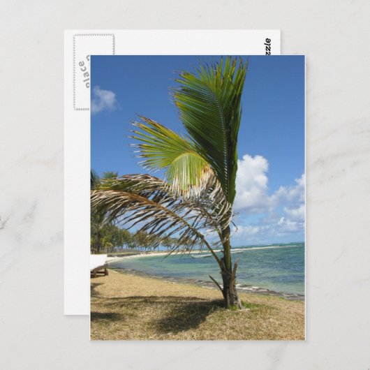 Mauritius Briefkaart (Voorkant / Achterkant)