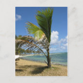 Mauritius Briefkaart (Voorkant)