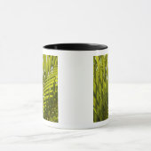 Mauritius, Centraal-Mauritius, Moka, palm 2 Mok (Midden)