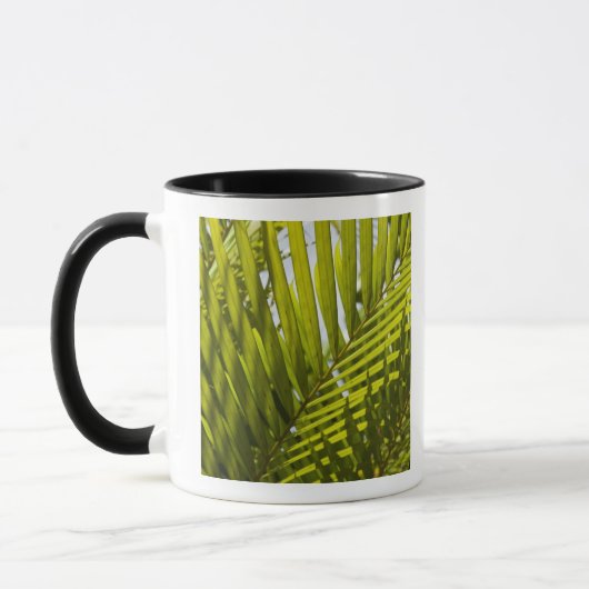 Mauritius, Centraal-Mauritius, Moka, palm 2 Mok (Links)