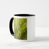 Mauritius, Centraal-Mauritius, Moka, palm 2 Mok (Voorkant links)
