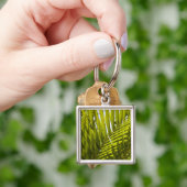 Mauritius, Centraal-Mauritius, Moka, palm 2 Sleutelhanger (Hand)