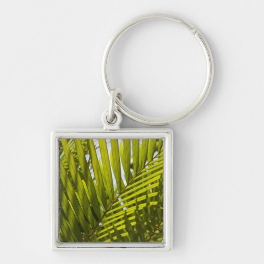 Mauritius, Centraal-Mauritius, Moka, palm 2 Sleutelhanger (Voorkant)