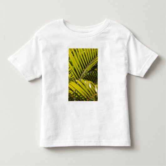 Mauritius, Centraal-Mauritius, Moka, palm Kinder Shirts (Voorkant)