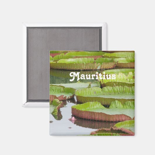 Mauritius Lily Pads Magneet (Voorkant / Achterkant)
