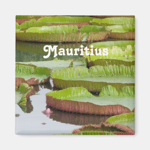 Mauritius Lily Pads Magneet