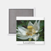Mauritius, Lotosblüte Magneet (Voorkant / Achterkant)