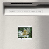 Mauritius, Lotosblüte Magneet (Insitu (Vaatwasser))