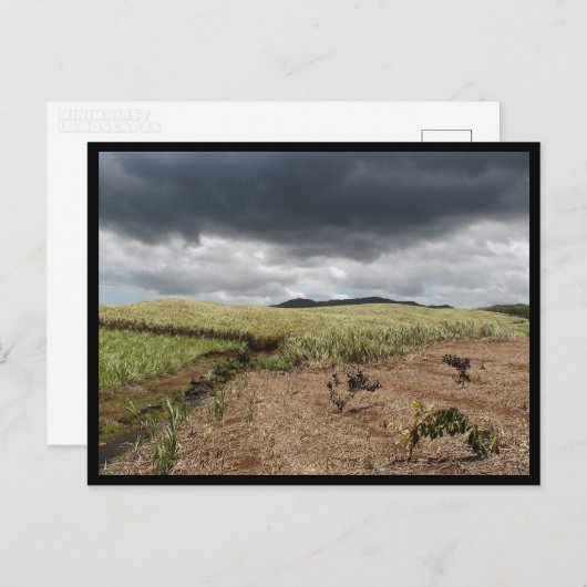 Mauritius / Maurice Briefkaart (Voorkant / Achterkant)