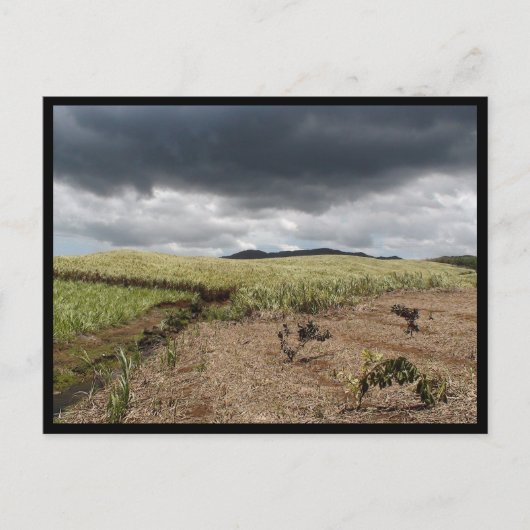 Mauritius / Maurice Briefkaart (Voorkant)