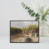 Mauritius / Maurice Briefkaart (Staand voorkant)