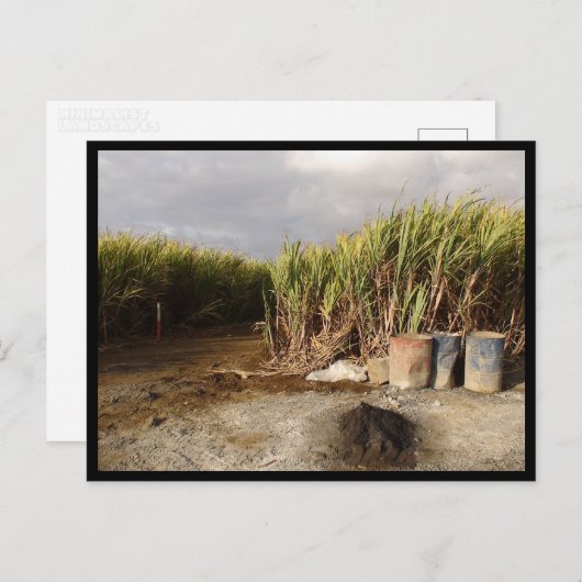 Mauritius / Maurice Briefkaart (Voorkant / Achterkant)