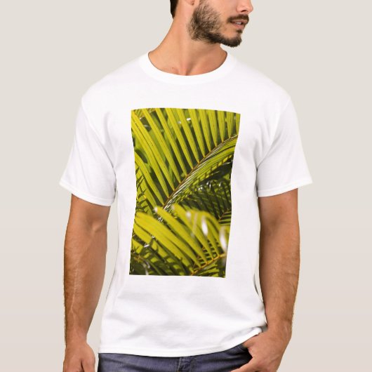 Mauritius, Midden-Mauritius, Moka, palm T-shirt (Voorkant)