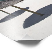 Mauritius, Oost-Mauritius, Belle Mare, Foto Afdruk (Hoek)